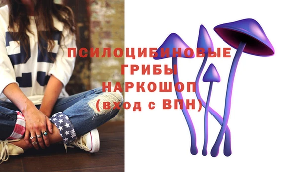 крисы Алексеевка