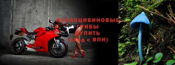 крисы Алексеевка