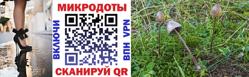 Купить закладки  Саранск  Галлюциногенные грибы Psilocybe 